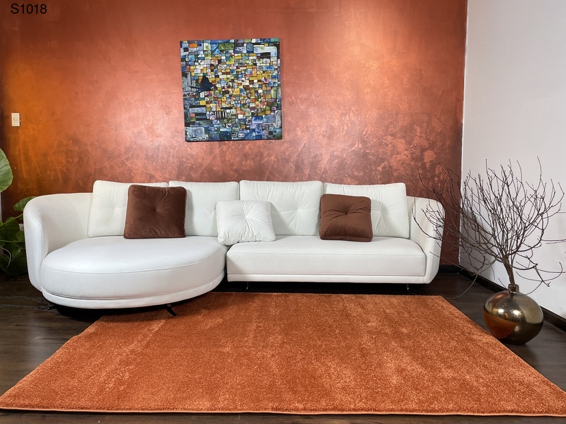 Tấm thảm sofa phòng khách bình dương